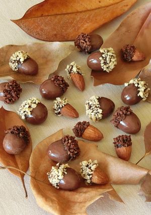 ハロウィンデコにも＊どんぐりチョコレート-レシピのメイン写真
