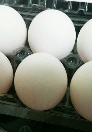 簡単❗生卵の賞味期限管理✨-レシピのメイン写真