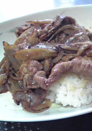ピリ辛☆豚ごぼう丼-レシピのメイン写真