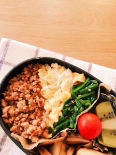 定番だけど食べたい♡三色ごはんのお弁当♡-レシピのメイン写真