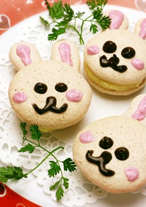 うさぎのマカロン-レシピのメイン写真