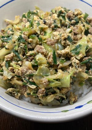 豚のひき肉とニラキャベツ玉子丼-レシピのメイン写真