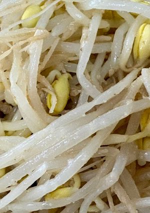 我が家のチンして和えるだけナムル-レシピのメイン写真