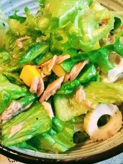 グリーンレタスとツナのサラダ-レシピのメイン写真