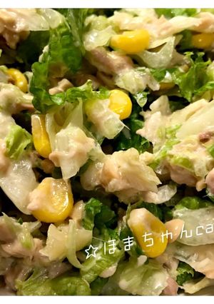 簡単☆納豆シーチキンサラダ☆-レシピのメイン写真