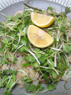 秋刀魚の筒煮の混ぜごはん-レシピのメイン写真