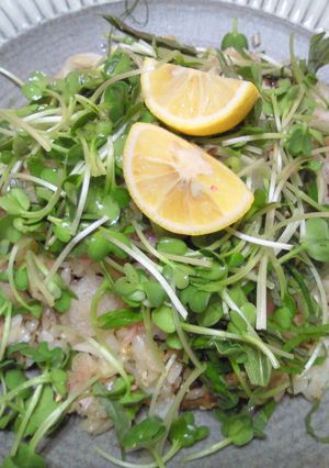 秋刀魚の筒煮の混ぜごはん-レシピのメイン写真