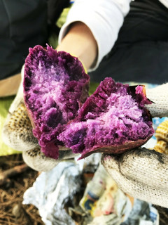 焼き芋-レシピのメイン写真