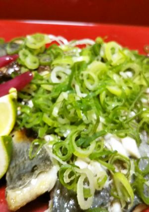 焼きあじの酢漬けねぎまみれ-レシピのメイン写真