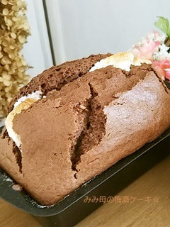 しっとり美味しい!バターなし梅酒ケーキ☆-レシピのメイン写真