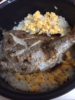 炊飯器で鯛めし-レシピのメイン写真