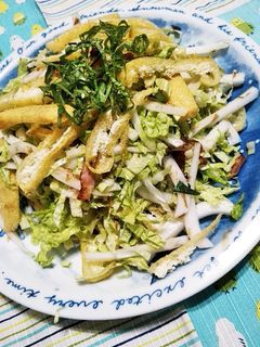 白菜と油揚げのシャキシャキサラダ-レシピのメイン写真