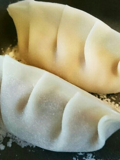 野菜たっぷりジューシー餃子☆-レシピのメイン写真