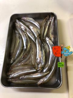 ワカサギ下処理ハサミで楽チン【3】-レシピのメイン写真