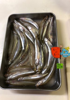 ワカサギ下処理ハサミで楽チン【3】-レシピのメイン写真