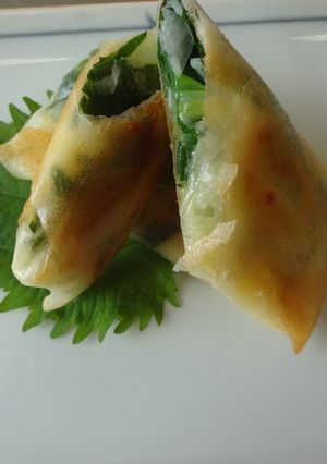 長ネギのチーズ入り春巻き-レシピのメイン写真