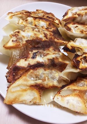 シソたっぷりギョーザ-レシピのメイン写真
