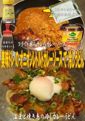 美味ドレのレトルトカレーソース冷しうどん-レシピのメイン写真
