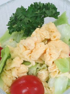 キャベツと炒り卵のサラダ-レシピのメイン写真