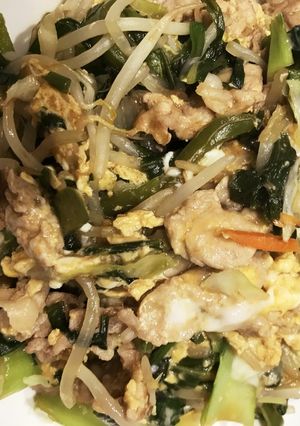 野菜たっぷりオイスターソース炒め-レシピのメイン写真