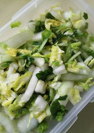 白菜の漬物-レシピのメイン写真