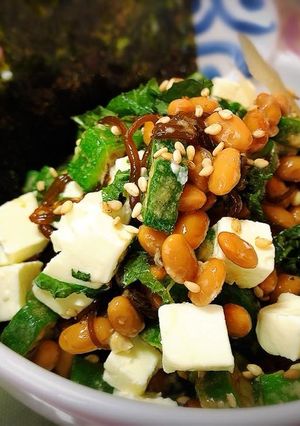 もずくとチーズの納豆和え-レシピのメイン写真