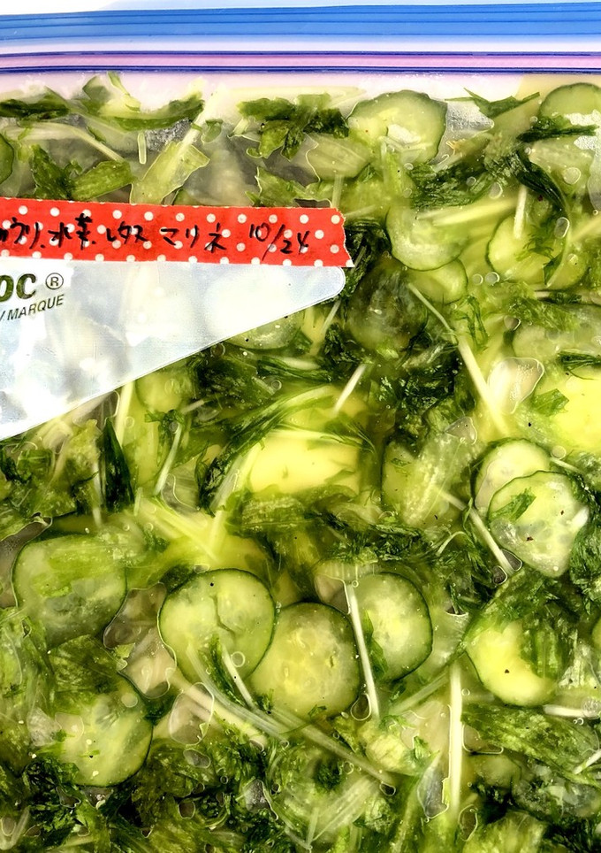 きゅうり 水菜 レタスのマリネ 冷凍保存-レシピのメイン写真