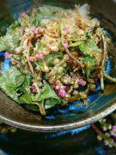 食感たのしい♥つるむらさきのお浸し-レシピのメイン写真