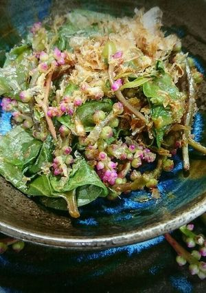 食感たのしい♥つるむらさきのお浸し-レシピのメイン写真
