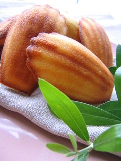 柚子茶で♪柚子マドレーヌ-レシピのメイン写真