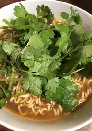 サッポロ一番みそラーメンアジア風-レシピのメイン写真