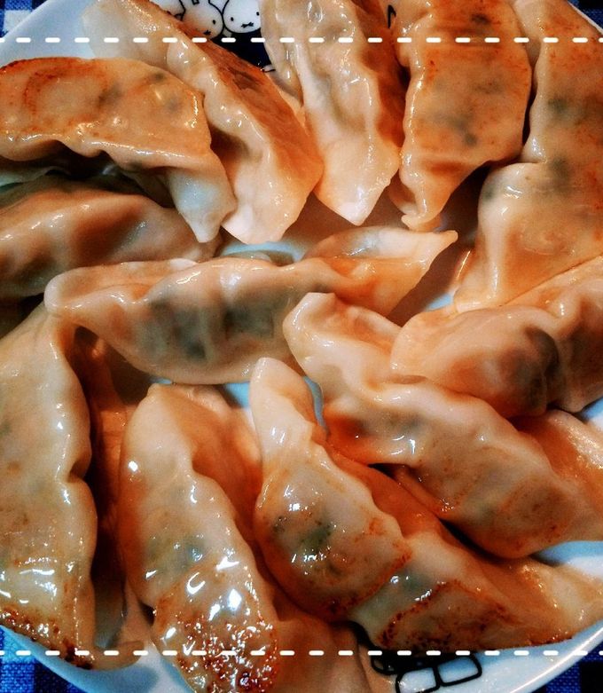 老地方手作り冷凍生焼き餃子 マツコの知らない世界】冷凍餃子の正しい焼き方【出演のプロ直伝