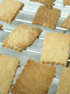ガリボリ♪簡単おからクッキー-レシピのメイン写真
