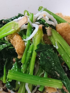 【茹でない】レンチンほうれん草のおひたし-レシピのメイン写真