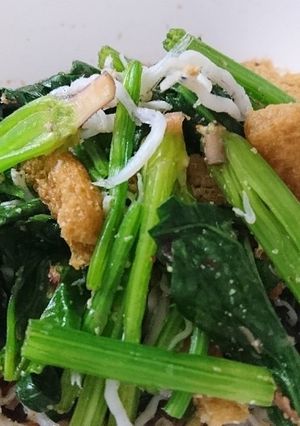 【茹でない】レンチンほうれん草のおひたし-レシピのメイン写真