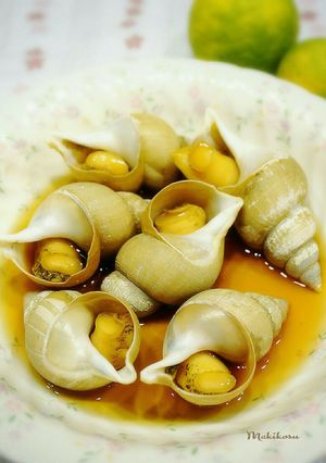 バイ貝の生姜煮-レシピのメイン写真