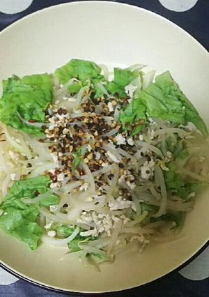 もやしとひき肉のエスニックサラダ-レシピのメイン写真