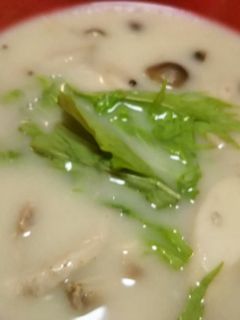 きのこのシチュー-レシピのメイン写真