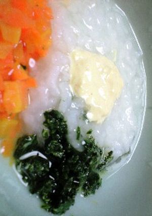 離乳食・中期■湯葉がゆ-レシピのメイン写真