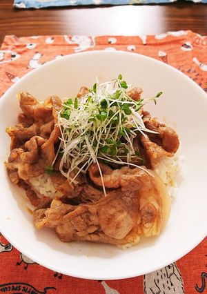 豚丼-レシピのメイン写真