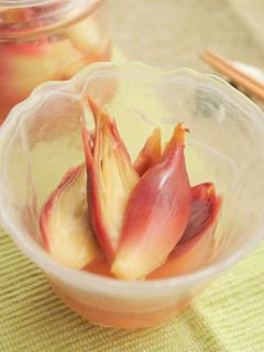 液体塩こうじで!みょうがの甘酢漬け♪-レシピのメイン写真