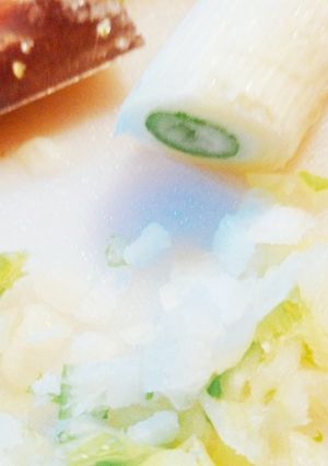 レシピ1長ネギ冷凍★切りやすい！-レシピのメイン写真
