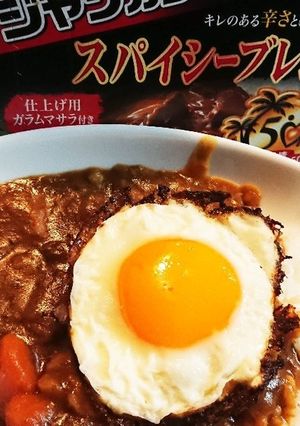 牛すじカレースパイシーブレンド圧力鍋-レシピのメイン写真