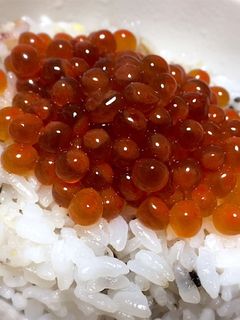 調味料2つだけ♪我が家のいくらの醤油漬け-レシピのメイン写真