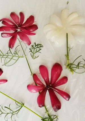 らっきょうでコスモス！花オードブル-レシピのメイン写真