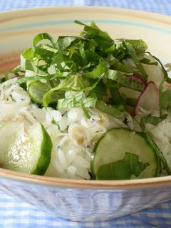 野菜のおすし-レシピのメイン写真