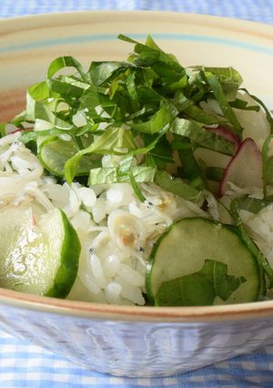 野菜のおすし-レシピのメイン写真