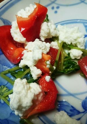 アンチエイジング☆豆苗とチーズのサラダ-レシピのメイン写真