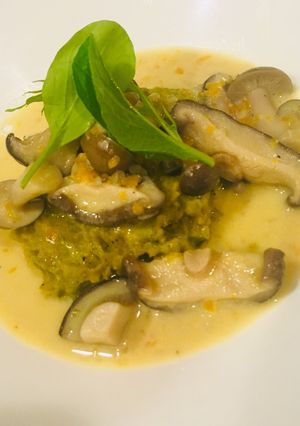 キノコの豆乳フリカッセ-レシピのメイン写真