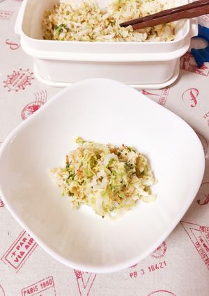 やみつき白菜サラダ-レシピのメイン写真
